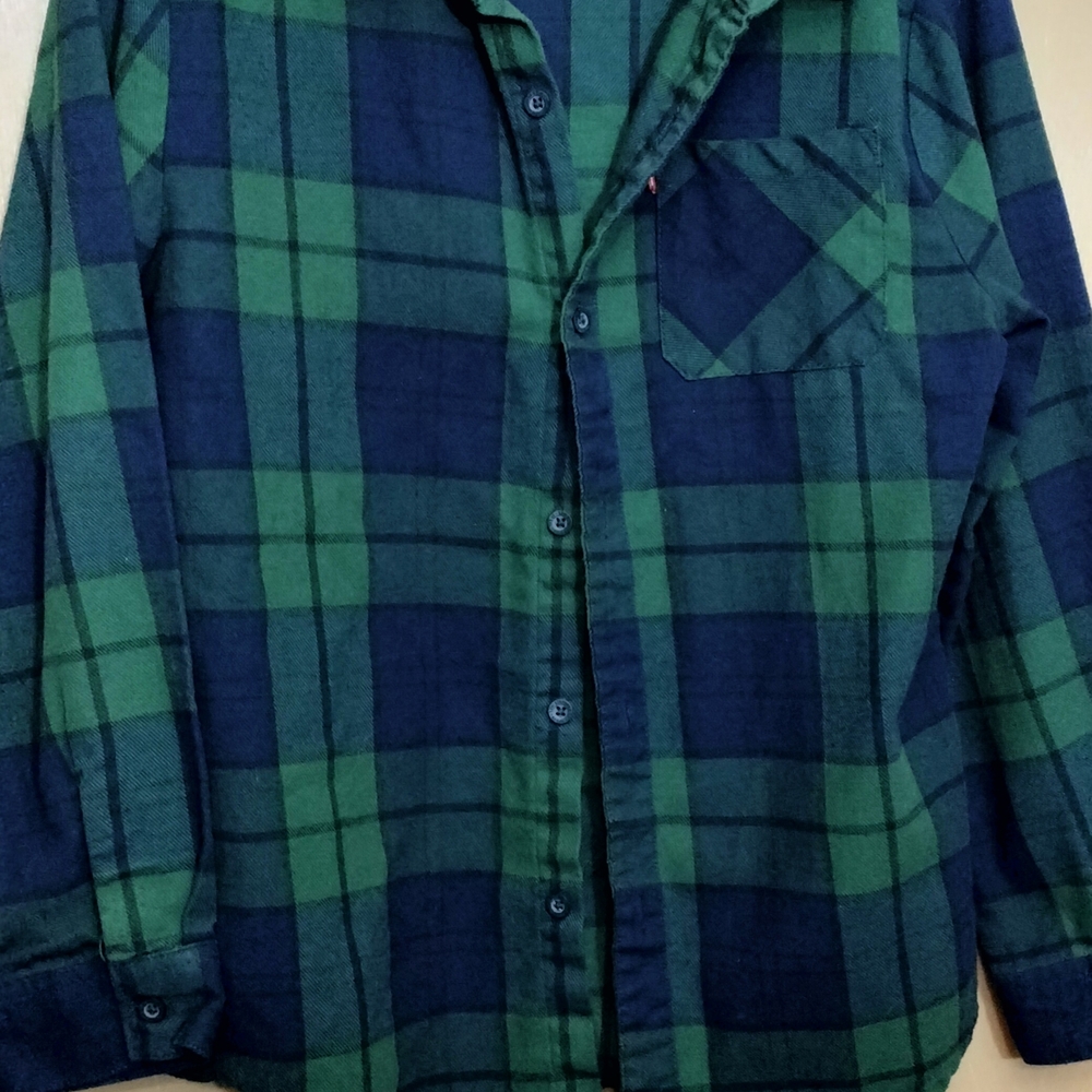 Levi's Green and Blue Checkered Shirt